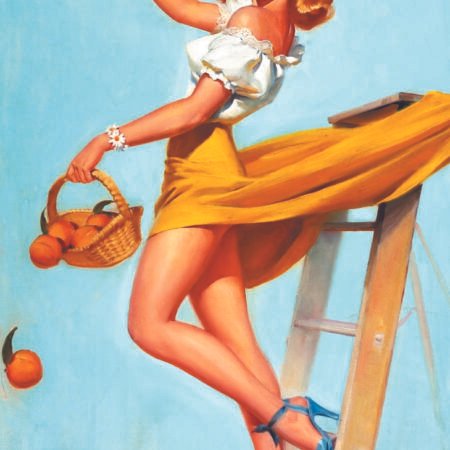 Pin up 05 Download File